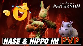 New World Aeternum  Hase und Hippo im PVP GERUE40 [upl. by Nadruoj]