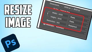 How to Resize an Image in PhotoShop 2024 Tutorial [upl. by Rocco]