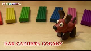 СОБАКА  Лепим из пластилина с Видео Лепка [upl. by Aik929]