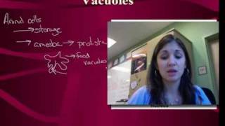 Cell Organelles Manufacturing and Breakdown [upl. by Tarryn]