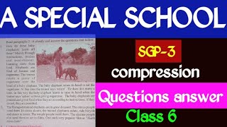 A special school sgp3 questions answer class 6 Class 6 A special school sgp3 youtubevideo [upl. by Graybill]