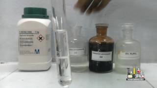 Layer Test for Bromide using Sodium Bromide [upl. by Tremml183]