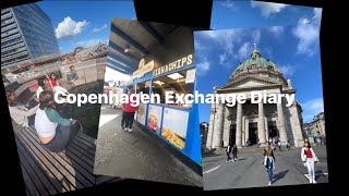 デンマーク留学出発 Copenhagen Exchange Diary [upl. by Sylado]