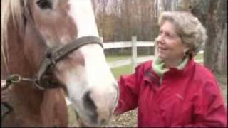 Susan Richards Saddled How a Spirited Horse Reined Me In and Set Me Free [upl. by Colvin]