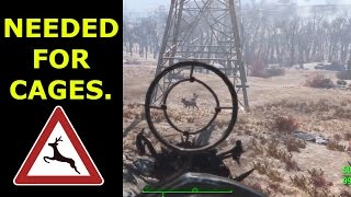 Fallout 4 Where to Find Radstag Meat [upl. by Rizzo]