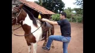 Aprenda a montar cavalo [upl. by Dionne750]