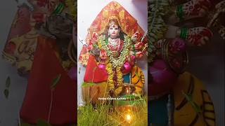 My Home durgamata durgapuja durgamaa navratri visarjan nimajjanam viral trending shorts yt [upl. by Dunstan308]