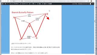 ハーモニック バタフライパターンで天底を捉えた事例 [upl. by Tabor]