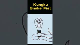 KUNG FU snake fist kungfu shortsvideo martialarts action kungfushaolin kungfuschool shaolin [upl. by Radke]