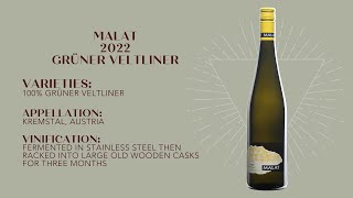 WINECULT Bottle Breakdown  Malat 2022 Gruner Veltliner [upl. by Hanikahs759]