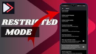 How To Turn On Youtube Restricted Mode On Youtube Revanced [upl. by Mackler734]