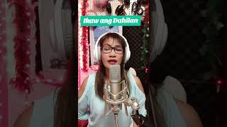 Ikaw ang Dahilan coversong [upl. by Duky]