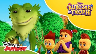 🦎 Agama na wycieczce  Kurczaki na tropie  Disney Junior Polska [upl. by Sidnal]