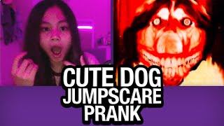 Cute Dog JUMPSCARE PRANK on Omegle [upl. by Leda]