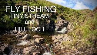 Small Stream Dry Fly Fishing and success at Loch Skeen [upl. by Timi497]