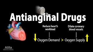 Pharmacology Antianginal Drugs Animation [upl. by Rattan755]