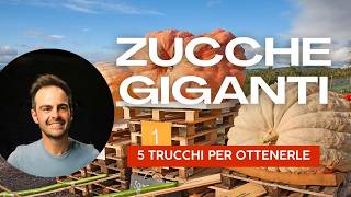 🎃 5 TRUCCHI INFALLIBILI per ZUCCHE GIGANTI da RECORD 🎃 [upl. by Bascomb]