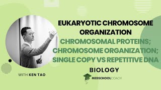 Chromosomal Proteins Chromosome Organization and Single Copy vs Repetitive DNA [upl. by Hsetim]