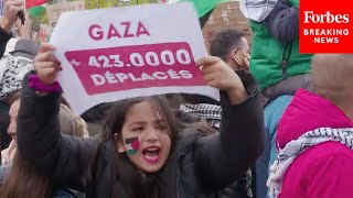 ProPalestinian Protesters Demonstrate In Brussels Belgium [upl. by Ella]