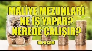 Maliye Bölümü Mezunları Ne İş Yapar Nerede Çalışır [upl. by Karin75]