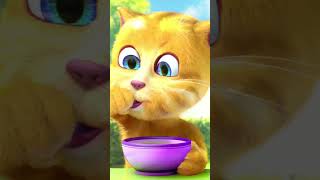 Ginger eating🥰shorts trending roblox funny food love gameplay pubgmobile asmr cat [upl. by Stephen]