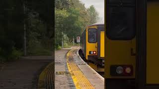 150219 working Liskeard to Looe departing Liskeard 15 Oct 2024 [upl. by Season]