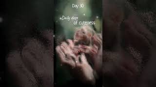 Day 30  This little ferret is your merit ferret babyanimals cute [upl. by Raimes]