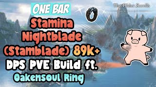 ESO One Bar Stamina Nightblade Stamblade 89k DPS PVE Build Ft Oakensoul Ring High Isles DLC [upl. by Richman]