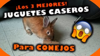 JUGUETES CASEROS para CONEJOS ✅ ▷ FÁCILES de HACER 🐰 [upl. by Adroj182]