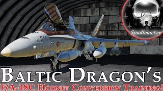 Training Baltic Dragon to fly the FA18C Hornet  Part 1 [upl. by Garap]