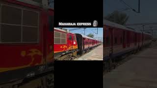 maharaja express expensive train viralvideo train wap5 maharajaexpress irctc indianrailways [upl. by Younglove]