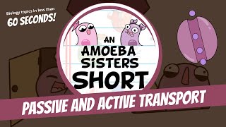 Passive and Active Transport  Amoeba Sisters Shorts [upl. by Floris258]