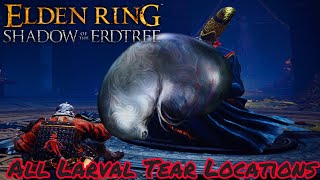 All Larval Tear Locations In Shadow Of the Erdtree Elden Ring [upl. by Baldridge906]