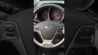 KIA Rio 2016 121 282 км [upl. by Lamaaj380]