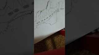 How to draw pliosaurus jurassic world the game level 40 [upl. by Benildis]