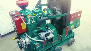 20kv diesel generator starting with self  double cylinder three phase  liquid cooled engine [upl. by Nomolos]