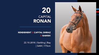 20 CAPITAL RONAN Rendement x Capital Shiraz x Bambix [upl. by Brody]