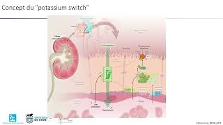 Rencontres NephroDiet 2023   « Pratiques en nutrition  De la néphroprotection à la dialyse » [upl. by Crowley]