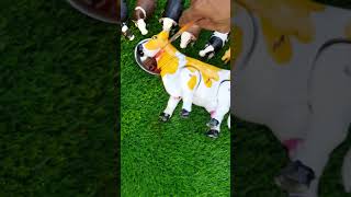 Cow Cutting shortsvideos shortvideo youtubeshorts video viralvideo reversevideo [upl. by Mogerly]