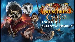 Spooky Night at the Shadow Temple BaldursGate3 Part 4 [upl. by Borek]