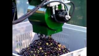 Aspiratore olive CRF da bins 2012wmv [upl. by Aleicarg]