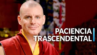 37 Prácticas 27 La paz crece con la Paramita de la Paciencia  Lama Rinchen Gyaltsen [upl. by Karlin]