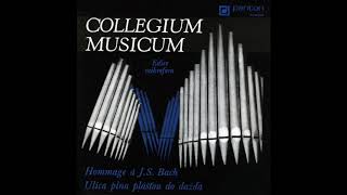 Collegium Musicum  Hommage à JS Bach [upl. by Haroldson]