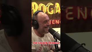 Joe Rogan Drug Problem in Asia [upl. by Snave504]