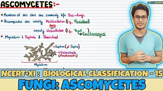 Biological Classification Lec 15 Fungi Ascomycetes Class 11 NEET Neetology [upl. by Mcintosh109]