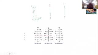 Carbohydrate Chemistry Isomerism [upl. by Notyalk59]