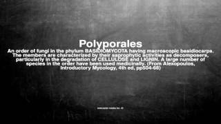 Medical vocabulary What does Polyporales mean [upl. by Courtney]