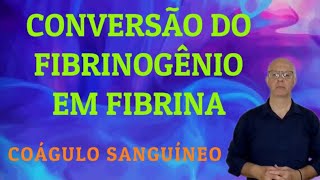 Coágulo sanguíneo Conversão do fibrinogênio em fibrina [upl. by Gnort]