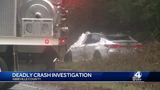 Woman killed in crash after cow hits 3 vehicles in Abbeville County [upl. by Beryl321]