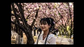 Yunnan Kunming e risaie Foto Flash 4K [upl. by Kiraa52]